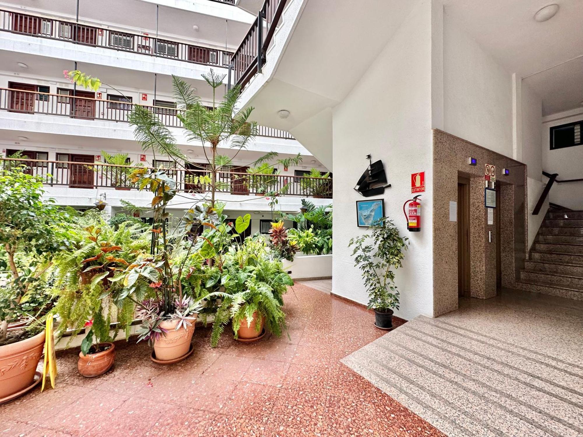 First Line Attic - Adults Only - Lejlighed Puerto de la Cruz  Eksteriør billede